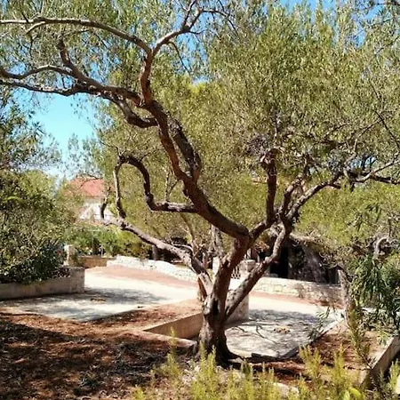 Sol - Free Parking - Big Terrace Splitska